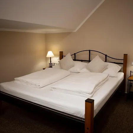 Dasicke Sklepy Guest house